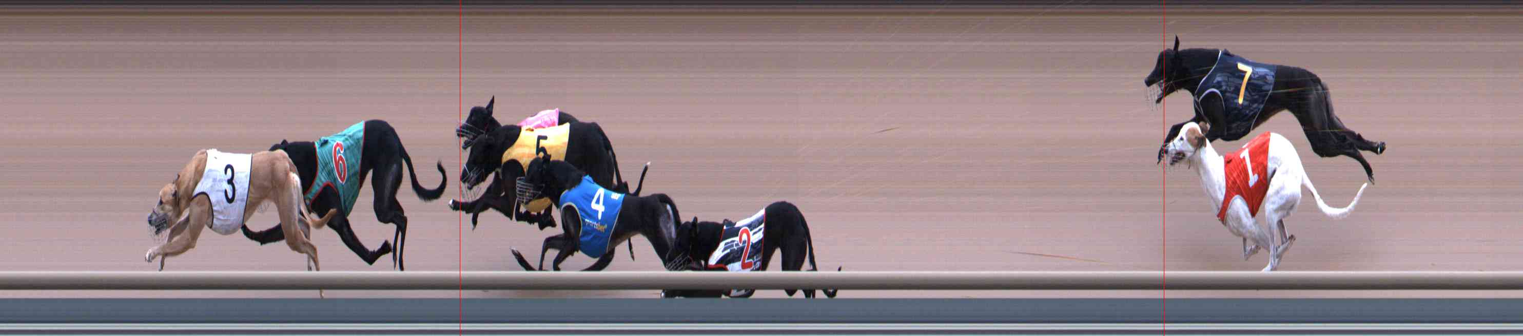 Race result finish photo